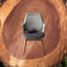【新品上市】4+ 舒樂活 - CO Chair 胡桃木腳 人體工學椅 - Fin Shop