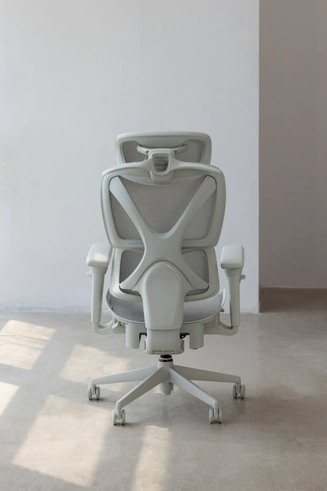 【新品上市】COFO Chair Pro2 人體工學椅 (3色) - Fin Shop