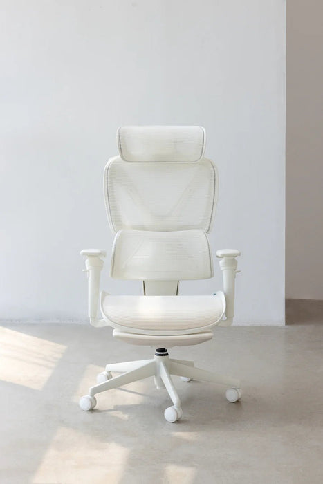 【新品上市】COFO Chair Pro2 人體工學椅 (3色) - Fin Shop