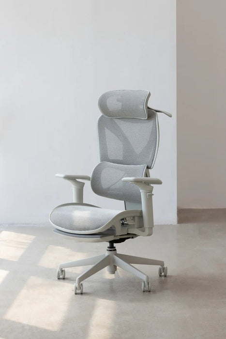 【新品上市】COFO Chair Pro2 人體工學椅 (3色) - Fin Shop