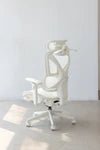 【新品上市】COFO Chair Pro2 人體工學椅 (3色) - Fin Shop
