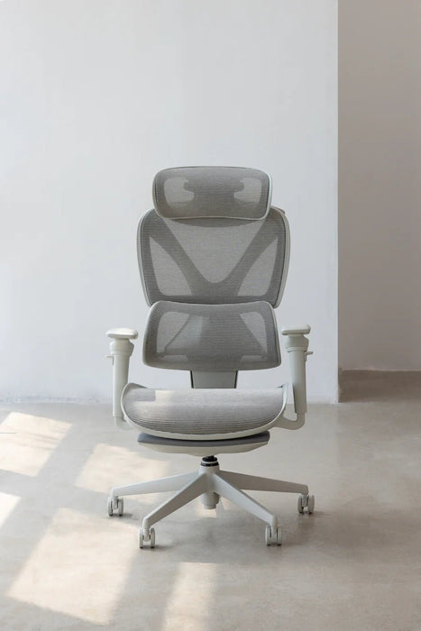 【新品上市】COFO Chair Pro2 人體工學椅 (3色) - Fin Shop