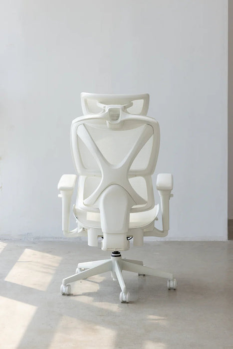 【新品上市】COFO Chair Pro2 人體工學椅 (3色) - Fin Shop