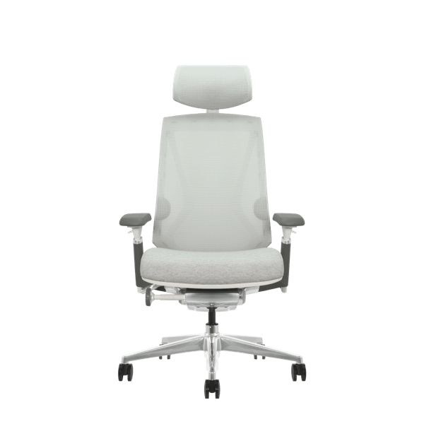 DEZCTOP - ARC 人體工學椅 - Fin Shop Taiwan