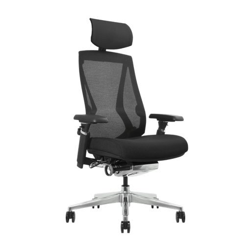 DEZCTOP - ARC 人體工學椅 - Fin Shop Taiwan