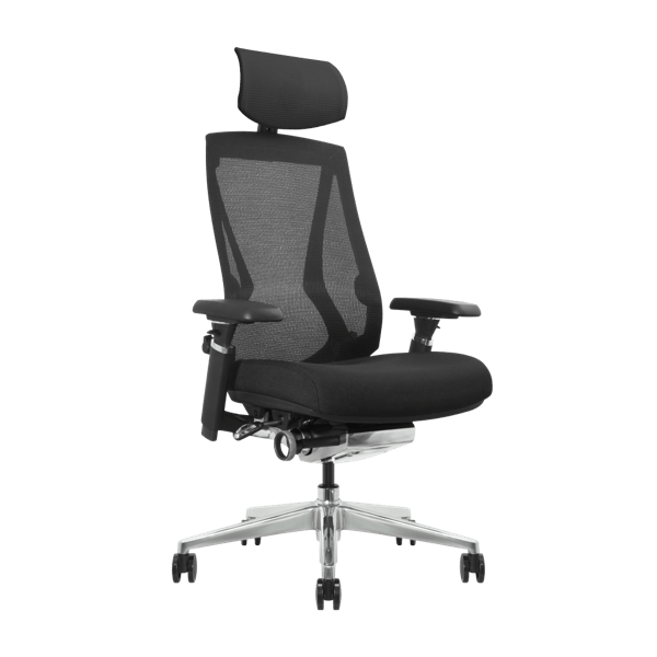 DEZCTOP - ARC 人體工學椅 - Fin Shop Taiwan