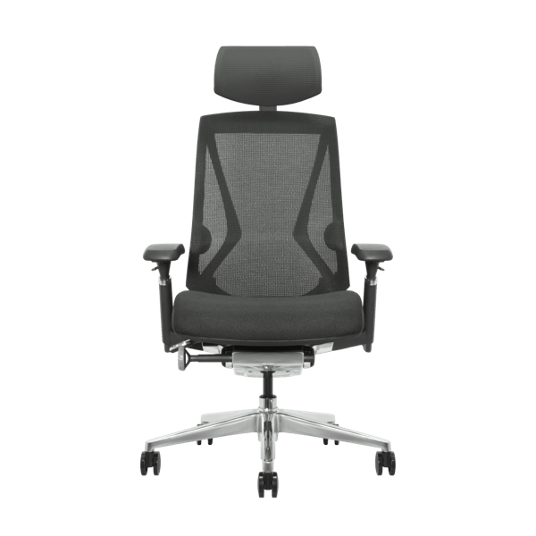 DEZCTOP - ARC 人體工學椅 - Fin Shop Taiwan