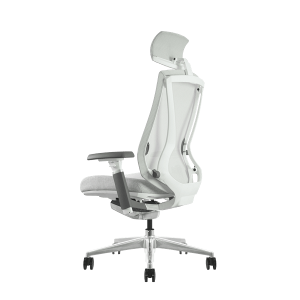 DEZCTOP - ARC 人體工學椅 - Fin Shop Taiwan