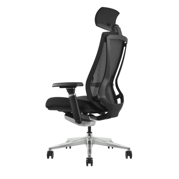 DEZCTOP - ARC 人體工學椅 - Fin Shop Taiwan