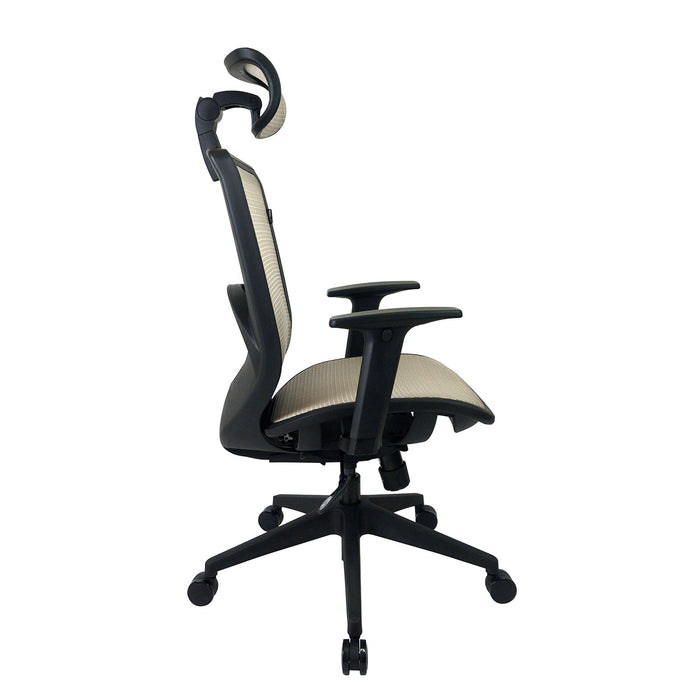 【起立時光美學椅】KL - P1806入門款雀躍椅 - Fin Shop Taiwan