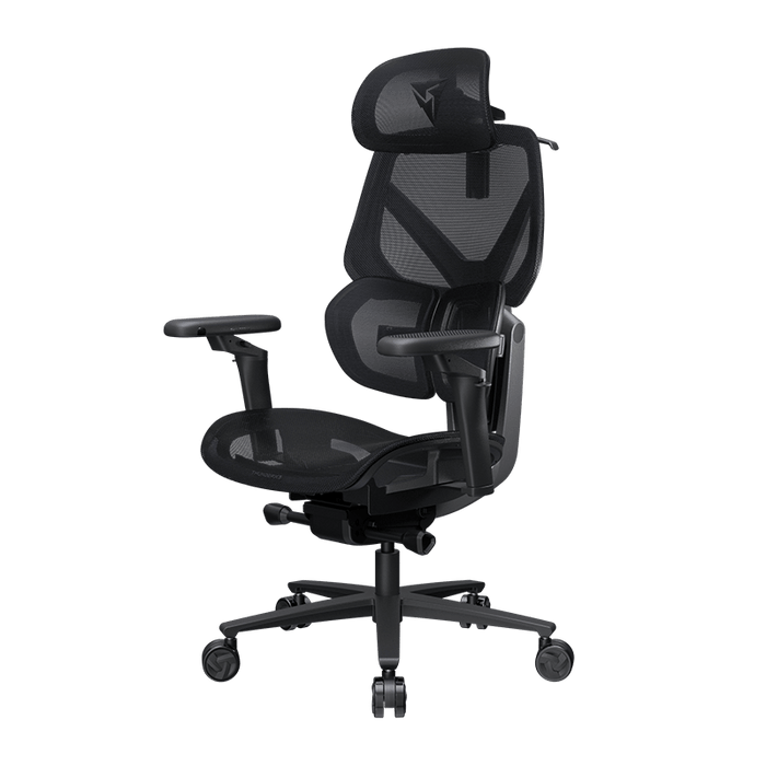 TX3 - FLEX PRO - 人體工學辦公椅 - Fin Shop Taiwan