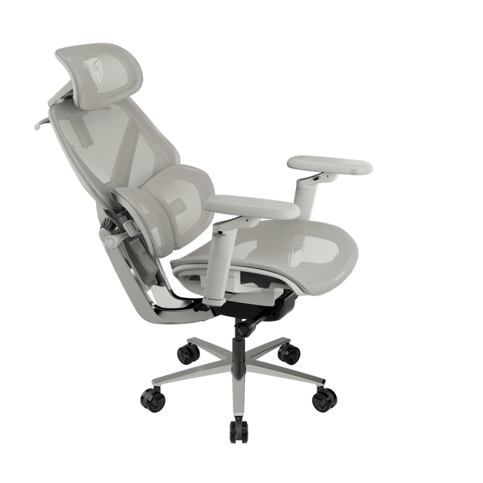 TX3 - FLEX PRO - 人體工學辦公椅 - Fin Shop Taiwan