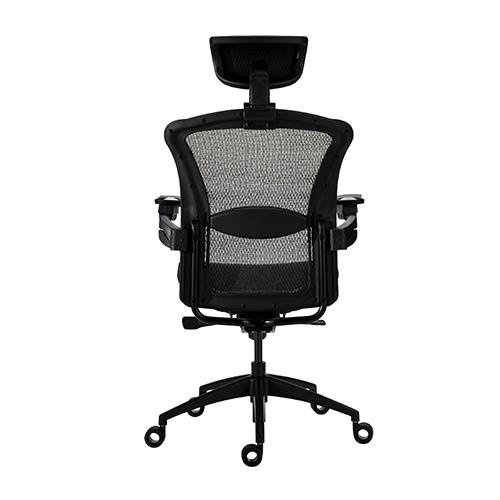 Alphaeon e5 - Tesoro Taiwan