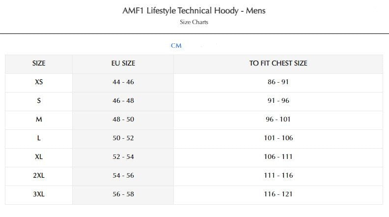 Aston Martin Cognizant F1 2022 Official Lifestyle Technical Hoody - Men - Tesoro Taiwan